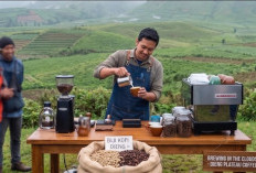 Dieng Culture Festival 2026 Makin Istimewa, DJKI Bawa 14 Kopi Indikasi Geografis