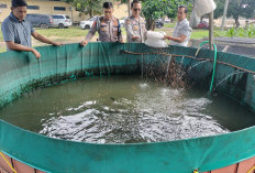 Polsek Indralaya Ogan Ilir Monitoring Perkembangan Ternak Ikan Program Ketahanan Pangan