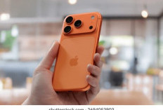 Daftar Harga iPhone Terbaru Agustus 2026, Mulai iPhone 14 hingga iPhone 17 Series, Cek Sebelum Membeli