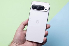 Google Pixel 9 Pro Dirancang dengan Android 16 serta Kombinasi Performa Tinggi 