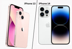 iPhone 13 dan 14 Masih Layak Dibeli 2026: Yuk Cek Kelebihan yang Ditawarkan!