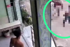 Dipicu Kesalahpahaman di Sosmed, IRT di Palembang Terlibat Cekcok Berujung Kekerasan 