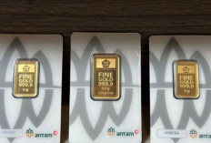 Harga Emas Antam 14 Juli 2026 Stabil Setelah Turun Rp 20.000, Berikut Rincian Harga 0,5 Gram hingga 1 Kg