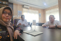 Pendataan Jembatan Akses Sekolah Dimulai, Presiden dan Kementerian PUPR Siapkan Bantuan Pembangunan