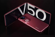 Vivo V50 5G Pilihan Smartphone Terbaru dengan Desain Ramping dan Layar AMOLED 