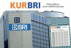 Mau Modal Usaha? Ini Panduan Lengkap KUR BRI 2025 untuk UMKM