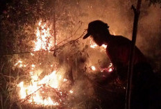 Sehari Empat Hektare Lahan Terbakar di Kelurahan Muara Enim dan Kelurahan Pasar 1