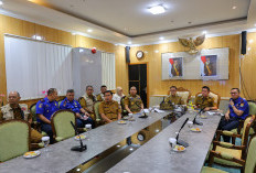 Siaga Karhutla, Wali Kota Palembang Instruksikan Camat dan Lurah Pantau Wilayah 