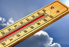 Waspada Heatstroke: Berikut Tanda-Tanda dan Langkah Penangananya