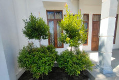 Peringati Hari Bumi Sedunia 2026, KAI Divre III Palembang Dukung Penguatan Transportasi Hijau