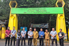 Jamur Pelawan Namang Selangkah Lagi Kantongi Sertifikat Indikasi Geografis