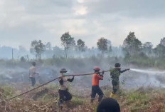 Ogan Ilir Kembali Dilanda Karhutla, 3 Hektare Lahan Gambut Tak Bertuan di Sungai Rambutan Terbakar