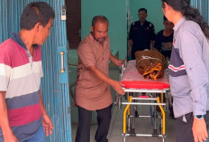 Tragis di Prabumulih, IRT 52 Tahun Tewas Tertabrak Kereta Barapati di Jalur KM 8