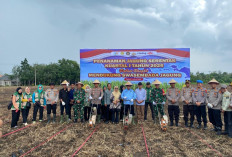 Penanaman Jagung Serentak Kuartal I 2026 Dukung Ketahanan Pangan Dilaksanakan Polres OKI