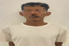Bawa Kabur Anak di Bawah Umur, Pelaku Dibekuk Satres PPA-PPO Polres Ogan ilir Hingga ke Batam