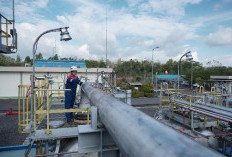 Energi Baru dari PEP Zona 4, Sumur LBK-030 di Muara Enim Berpotensi Produksi 3.073 BOPD