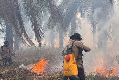 Polda Sumsel Kerahkan Personel Padamkan Karhutla di Wilayah PT PAR OKI