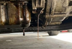 Kenali Tanda-Tanda Kompresi Bocor dan Cara Mengatasi Oli Mesin Mobil Menguap Berlebihan