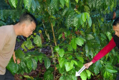 Kapolres OKU Ungkap Kasus Pembunuhan di Desa Mendingin