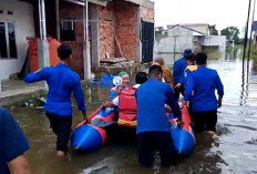 Instruksi Walikota Palembang, Camat Gandus Evakuasi Warga yang Terdampak Banjir Pakai Perahu Karet