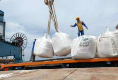 PTP Nonpetikemas Gelar Port Visit PortPress 2026, Kenalkan Aktivitas Nonpetikemas di Pelabuhan Boom Baru