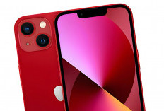 IPhone Ini Masih Layak Dibeli di Akhir Tahun 2025, Harganya Masih Bagus di 8 Jutaan 