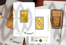 Harga Emas Antam Hari Terjun Hingga Rp 35.000, Cek Rinciannya 5 Mei 2026
