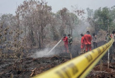 Kejari OKI Terima 2 SPDP Kasus Karhutla, Titik Hotspot Tertinggi se-Sumsel