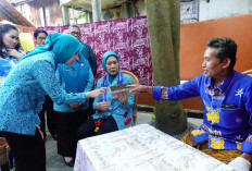 Ketua TP PKK Sumsel Feby Deru Resmikan Gedung Dekranasda OKI, Dorong Wastra Lokal Dipakai 