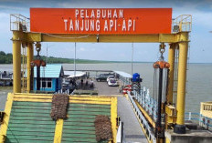  Pemberangkatan Kapal dari Tanjung Api-Api ke Bangka Sehari 9 Trip, Berikut Jadwal dan Harga Tiket!