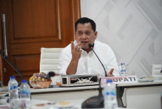 Banyuasin Siap Sambut Investor Baru, PT. Fertilizer Inti Technologi Fokus pada Produksi Pupuk