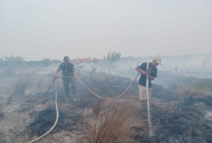 Lahan 5 Hektar di Pulau Beruang Tulung Selapan OKI Terbakar, Tim Gabungan Padamkan 