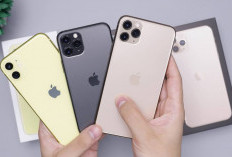 Beda iPhone dari Singapore Vs iBox: Mana yang Lebih Worth It Buat Kamu Beli?