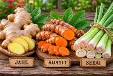 INI 5 Tanaman Herbal yang Wajib Ada di Rumah: Pilihan Tepat untuk Menjaga Kesehatan Keluarga