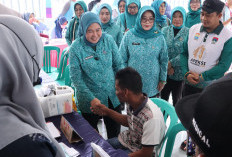 Ketua TP PKK Palembang Tinjau Pelayanan Kesehatan Bagi Masyarakat Terpencil di Pulau Kemaro