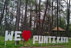 URGEN, Perbagus Wisata Alam Punti Kayu, Warga Palembang Jenuh Healing di Mal 