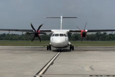 Asap Karhutla Ganggu Penerbangan di Bandara SMB II Palembang, Pagi Tadi 4 Penerbangan Tertunda
