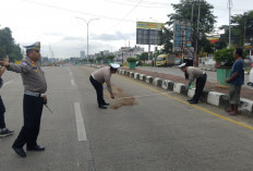  Pengendara Motor Wanita Tewas Terlindas Truk Tanpa Muatan di Arah Underpass Palembang