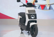 Polytron Fox 200 Resmi Meluncur, Motor Listrik Stylish dan Nyaman untuk Pengendara Perempuan