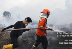 Enam Perusahaan Diawasi, Pemkab OKI Verifikasi Area Terbakar