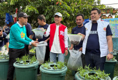 Pemkot Palembang dan Karang Taruna Tebar 1.000 Bibit Ikan Lele di Bulan Bhakti 2025