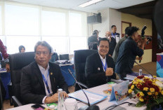 Edison Puji Resiliensi Bank Sumsel Babel meski Penerimaan Dividen Turun 19,8 Persen