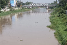 Sungai Enim Berubah, Diduga Tercemar Limbah Lumpur