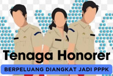 Ini Skema Kemenpan RB Bagi Tenaga Honorer Agar Tak Ada PHK Massal