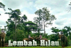 Liburan Seru Tanpa Boros! Lembah Hijau Lampung Suguhkan Satwa hingga Waterboom: Segini Harga Tiket Terkini 