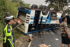 Tak Kuat Menanjak, Bus Berpenumpang 28 Orang Terguling, di Pinggir Danau Ranau