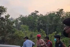 Sekda Lahat Berjibaku Padamkan Karhutla