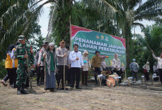 Dukung Swasembada Pangan, Tanam Jagung Kuartal III Polres OKI di Pondok Pesantren Sabilillah Kayuagung