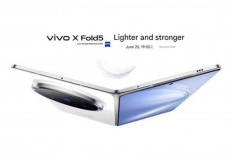 Fitur Unggulan Layar Vivo X Fold 5 Bawa Layar Panel LTPO AMOLED serta Kecerahan Puncak 4500 Nits