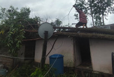 Sejumlah Rumah Warga Trans SP 7 Desa Gajah Mati OKI Dihantam Angin Puting Beliung